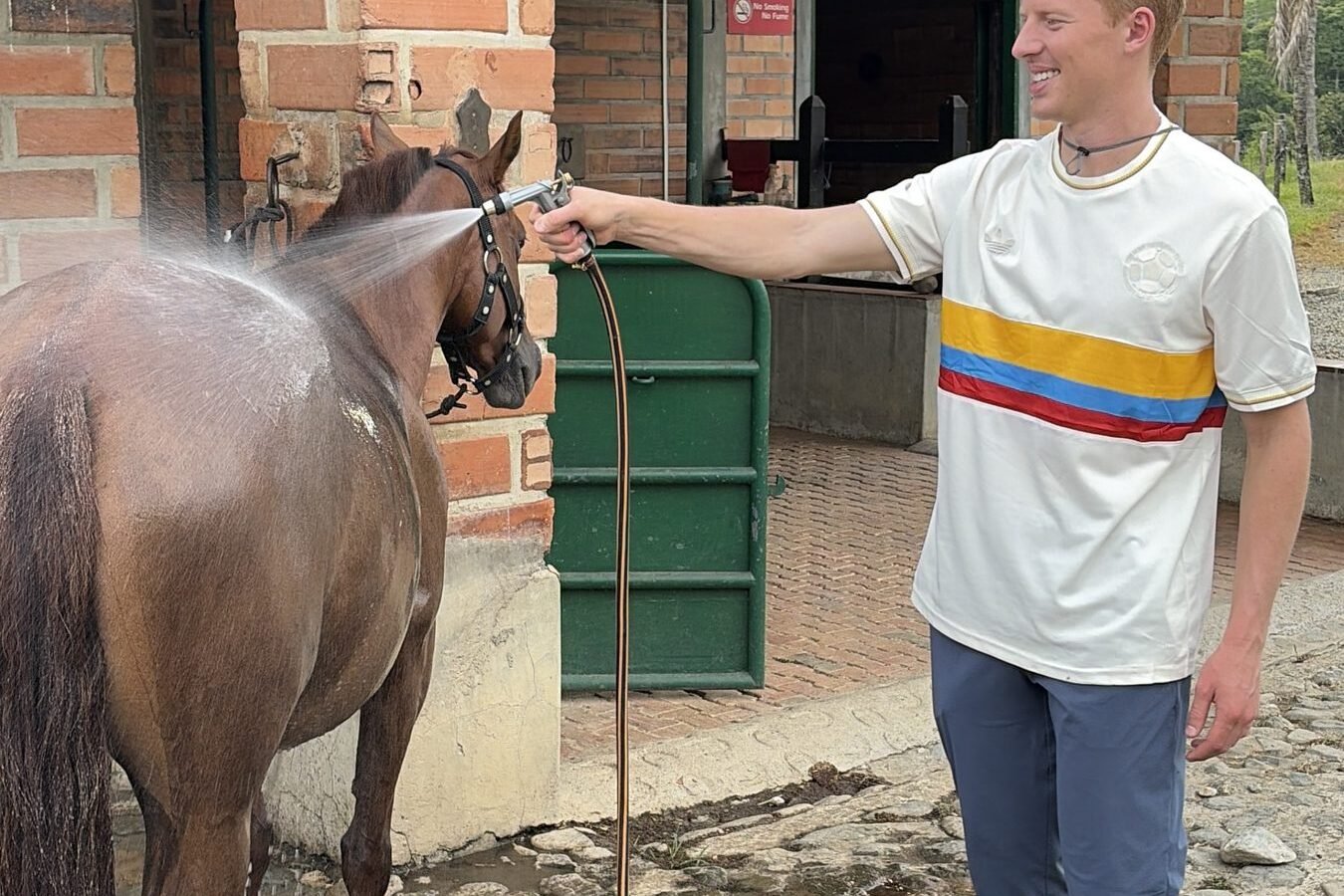 Immersive Horseback Experience & Amagá Viaduct