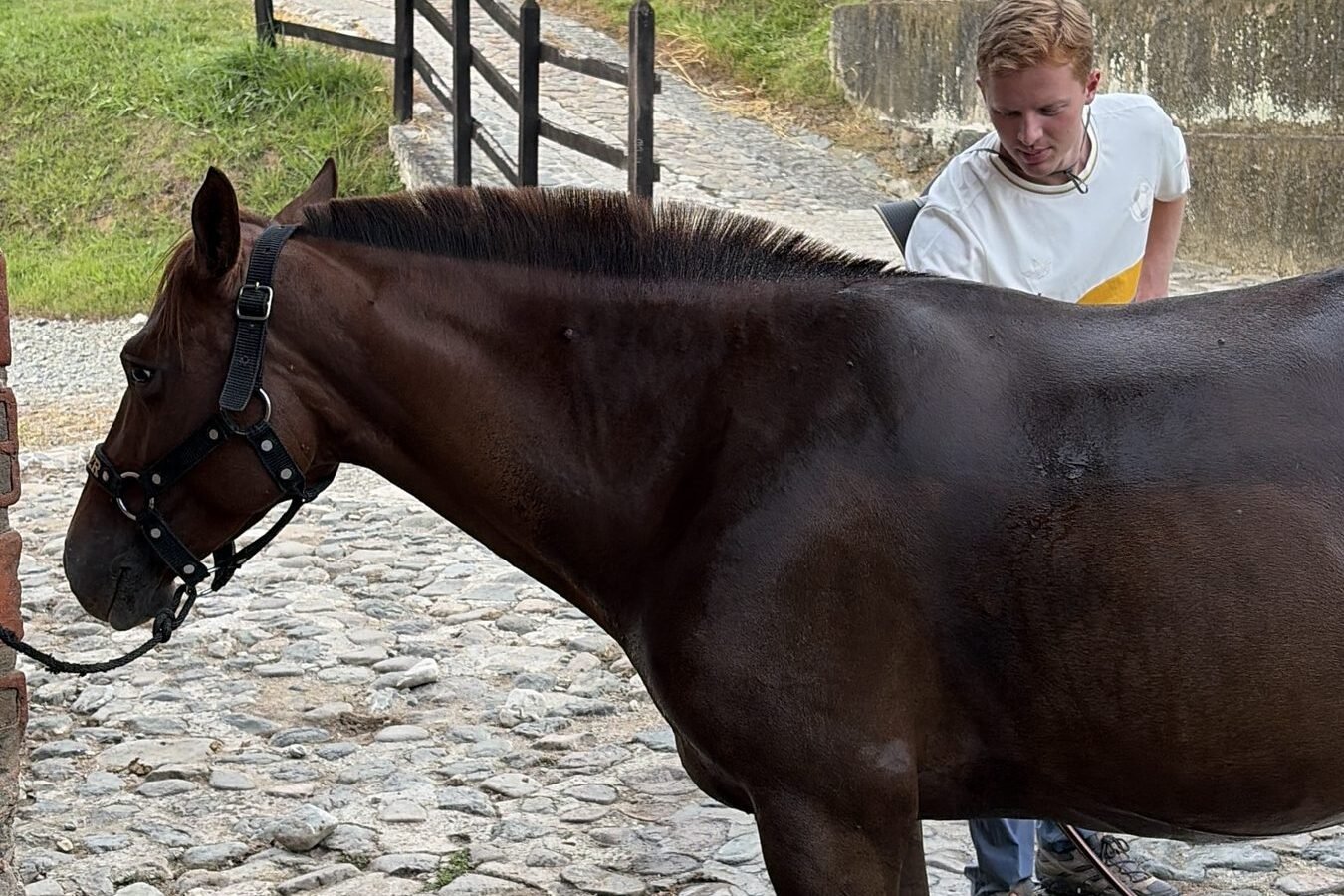 Immersive Horseback Experience & Amagá Viaduct