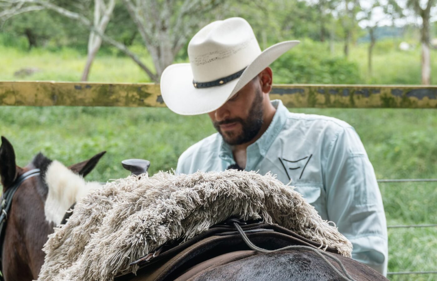 Immersive Horseback Experience & Amagá Viaduct