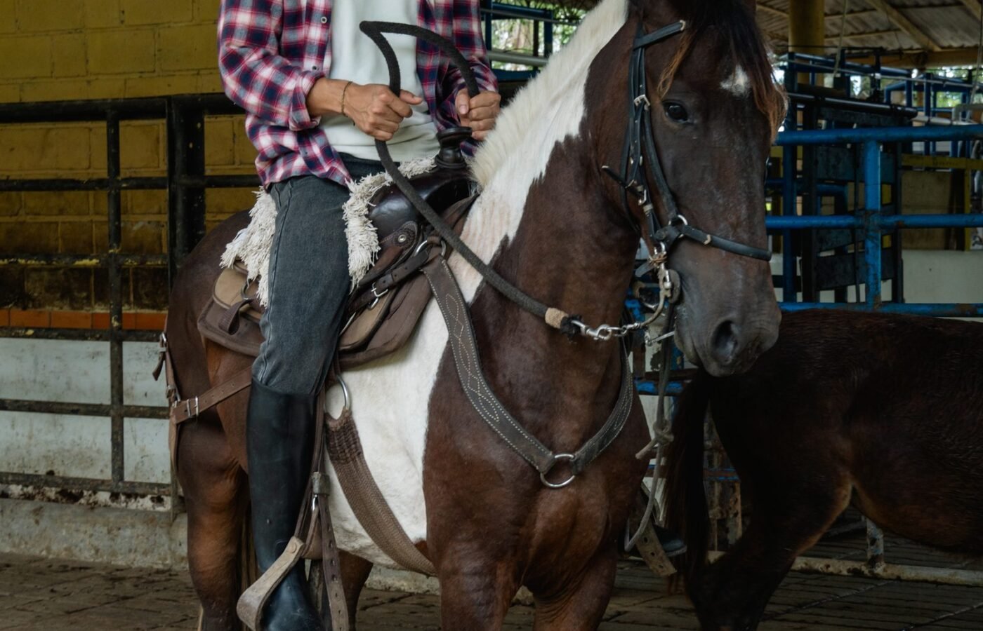 Immersive Horseback Experience & Amagá Viaduct
