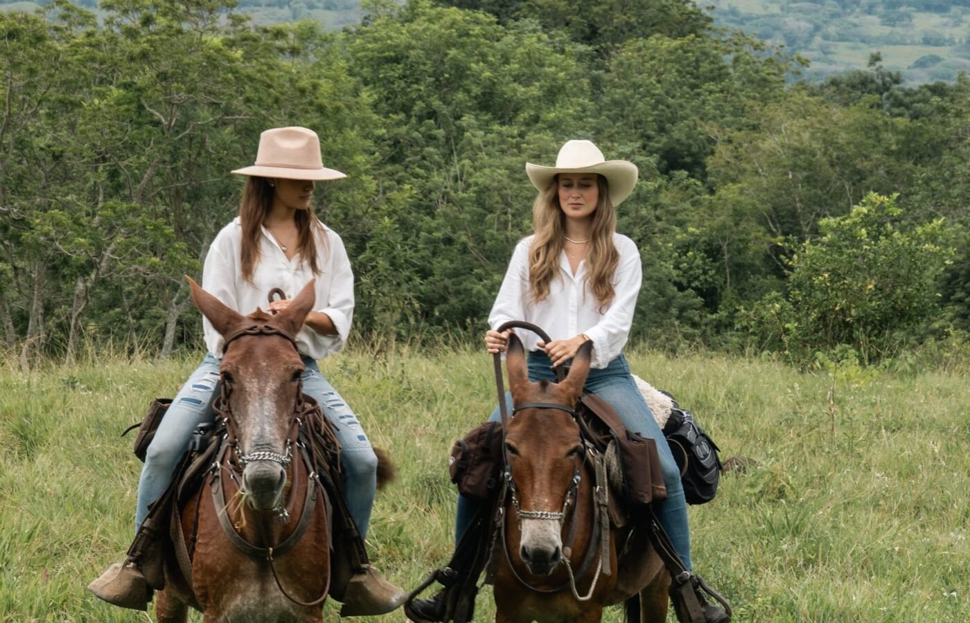 Immersive Horseback Experience & Amagá Viaduct