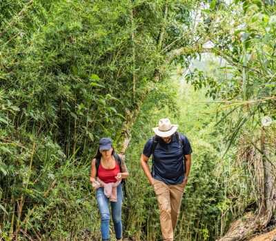 Captura de pantalla 2025-08-24 212402